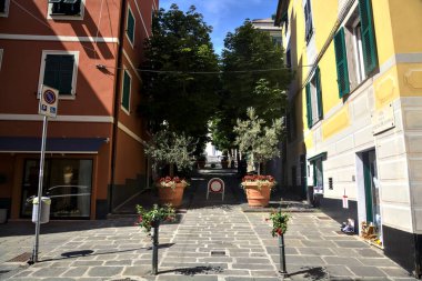 Güneşli bir günde ağaçlarla çevrili gölgedeki tırmanma sokağı