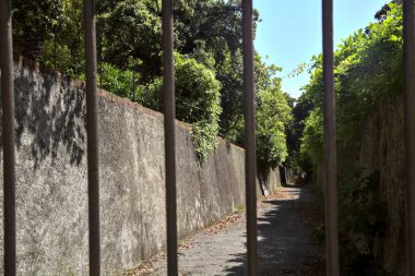 Taş duvarlar arasında sarmaşıklarla kaplı kaldırımlı bir ara sokak.