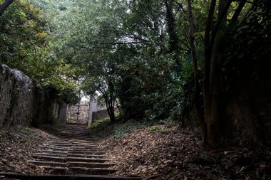 Bir korulukta taştan duvarlarla çevrili, tepeye çıkan merdivenler kapalı bir kapıya uzanan ağaçlarla kaplı.