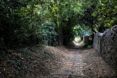 Taş duvarlarla çevrili bir korulukta inen patika.