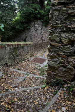 Sınır taşından duvarlarla çevrili bir korulukta alçalan taş merdiven.