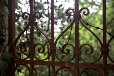 Paslı bir kapının arkasındaki terk edilmiş bahçe.