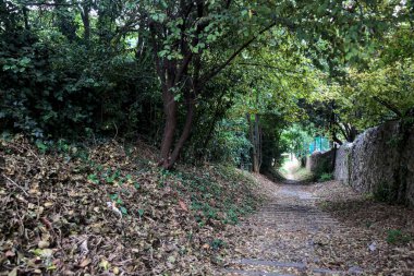 Taş duvarlarla çevrili bir korulukta inen patika.