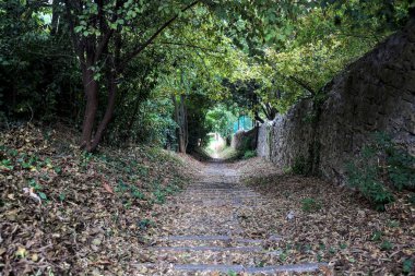 Taş duvarlarla çevrili bir korulukta inen patika.