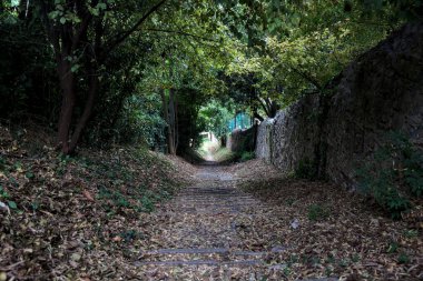 Taş duvarlarla çevrili bir korulukta inen patika.