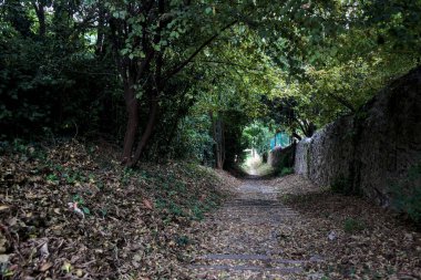 Taş duvarlarla çevrili bir korulukta inen patika.