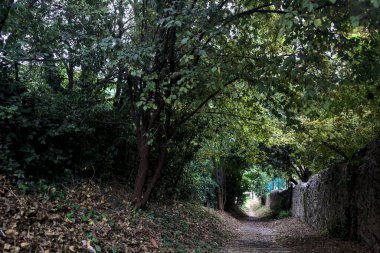 Taş duvarlarla çevrili bir korulukta inen patika.