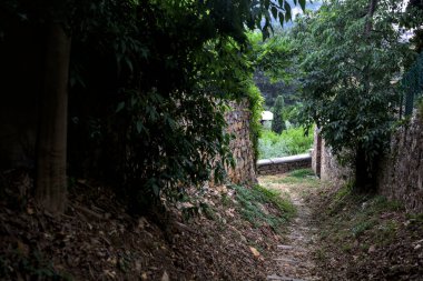 Taş duvarlarla çevrili bir korulukta inen patika.