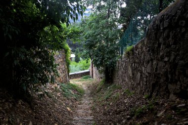Taş duvarlarla çevrili bir korulukta inen patika.