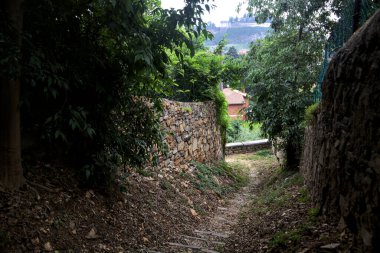 Taş duvarlarla çevrili bir korulukta inen patika.