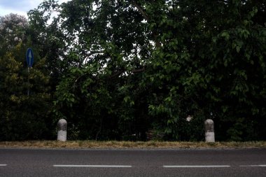 Gün batımında yol kenarında ağaçlarla dolu.