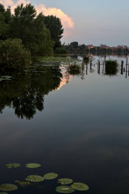 Gün batımında göl kıyısında bir koruluk.