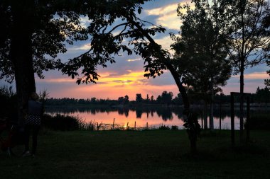 Gün batımında göl kıyısında ağaçlar