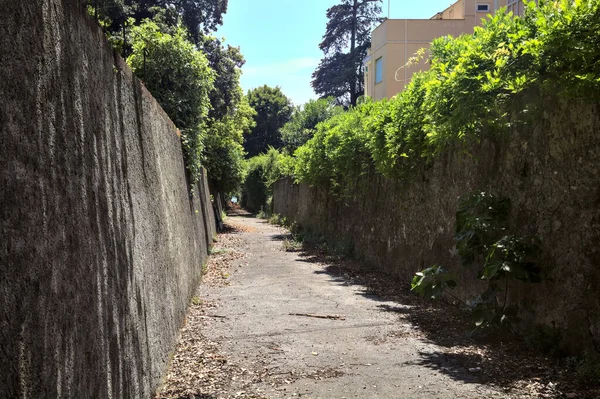 Cobbled Σοκάκι Μεταξύ Πέτρινων Τοίχων Που Καλύπτονται Από Κισσό — Φωτογραφία Αρχείου