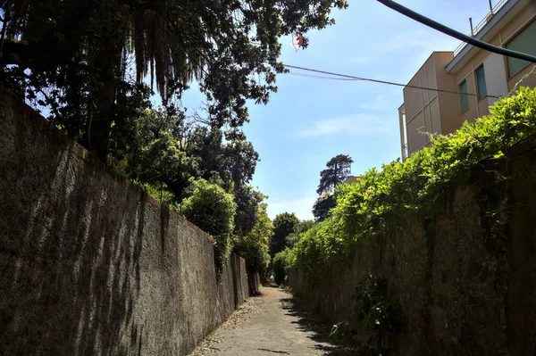 Taş Duvarlar Arasında Sarmaşıklarla Kaplı Kaldırımlı Bir Ara Sokak — Stok fotoğraf