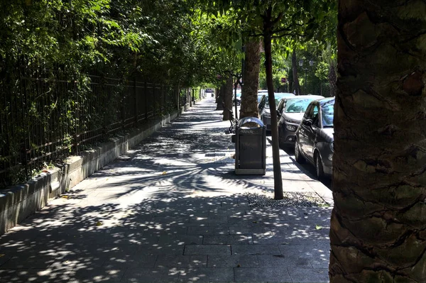 Περπάτημα Που Συνορεύει Φράχτες Και Δέντρα Μια Ηλιόλουστη Μέρα — Φωτογραφία Αρχείου