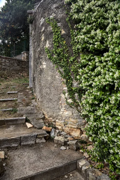 Stone Staircase Path Closed Gate Stone Wall Cloudy Day — Photo