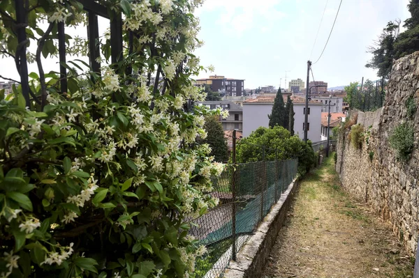 Bulutlu Bir Günde Binalarla Çevrili Bir Dağdan Inen Patika — Stok fotoğraf