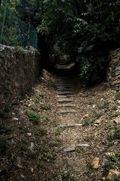 Escalera Elevada Bordeada Por Muros Piedra Una Arboleda Con Árboles — Foto de Stock