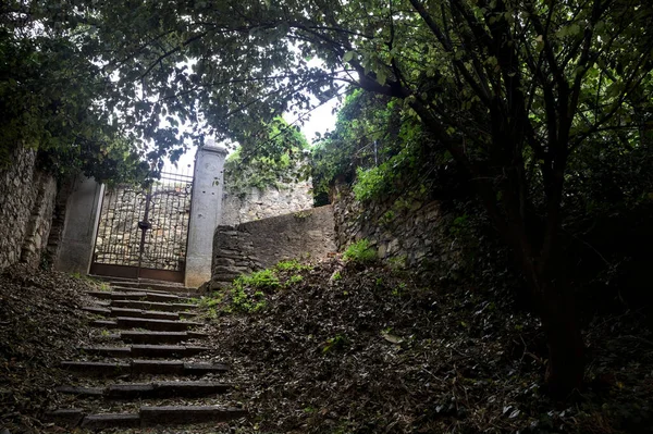Uphill Staircase Bordered Stone Walls Grove Trees Arching Leads Closed — Photo