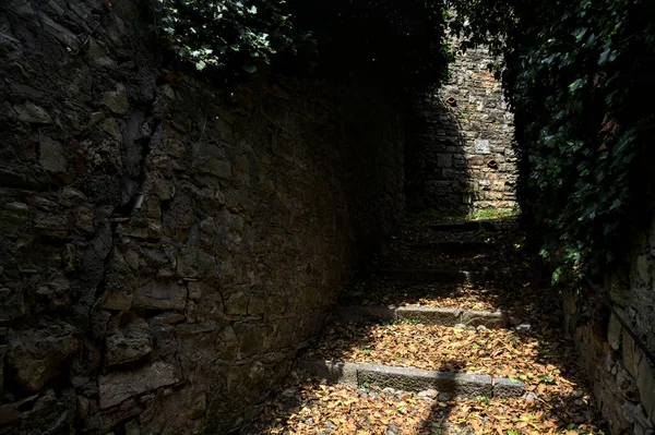 Sentiero Stretto Tra Muri Pietra Ricoperti Edera Boschetto — Foto Stock