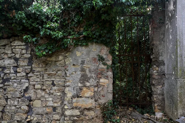 Gate in a stone wall at the end of a path in a grove