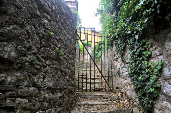 Zamknięta Brama Końcu Kamiennych Schodów Graniczących Kamiennymi Ścianami Bluszczem — Zdjęcie stockowe