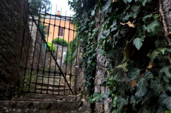 Closed Gate End Stone Staircase Bordered Stone Walls Ivy — Photo