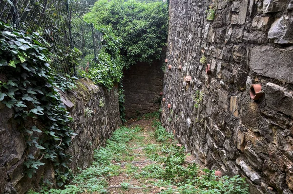 Sentier Étroit Entre Des Murs Pierre Recouverts Lierre Dans Bosquet — Photo