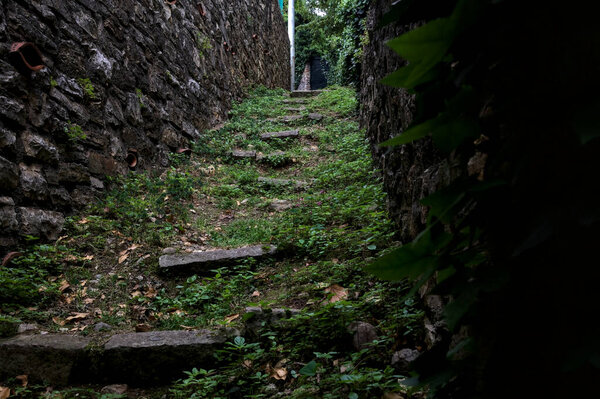 Narrow trail between stone walls covered by ivy in a grove