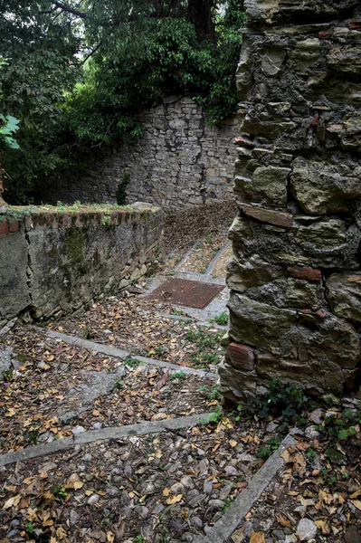 Descendo Escada Pedra Bosque Limitado Por Paredes Pedra Limite — Fotografia de Stock