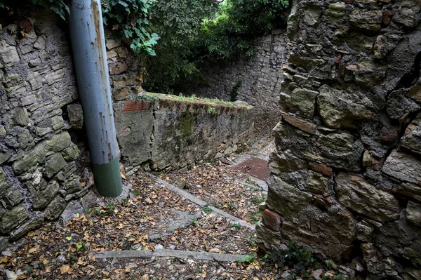 Sınır Taşından Duvarlarla Çevrili Bir Korulukta Alçalan Taş Merdiven — Stok fotoğraf