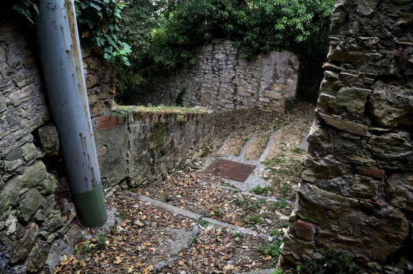 Descendo Escada Pedra Bosque Limitado Por Paredes Pedra Limite — Fotografia de Stock