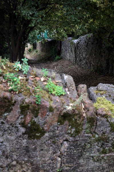 Descending Stone Staircase Grove Bordered Boundary Stone Walls — 스톡 사진
