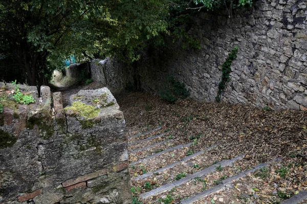 Descending Stone Staircase Grove Bordered Boundary Stone Walls — Photo