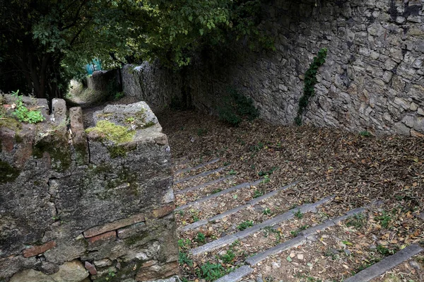 Afdalende Stenen Trap Een Bos Omzoomd Door Begrensde Stenen Muren — Stockfoto