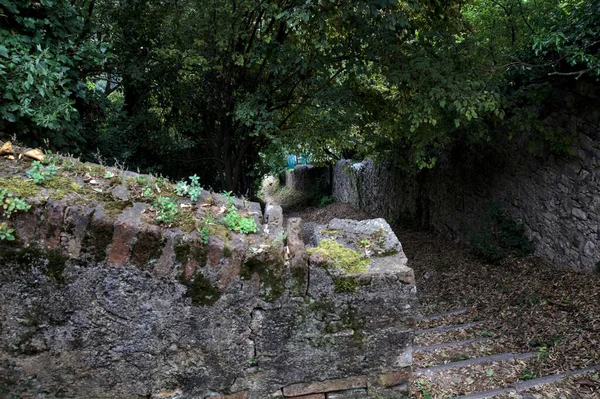 Descending Stone Staircase Grove Bordered Boundary Stone Walls — Stock Photo, Image