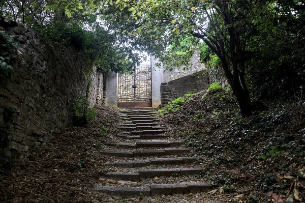 Escalier Montée Bordé Par Des Murs Pierre Dans Bosquet Avec — Photo