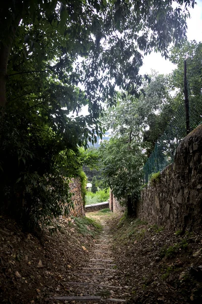 Descending Trail Grove Bordered Stone Walls — Stock Photo, Image