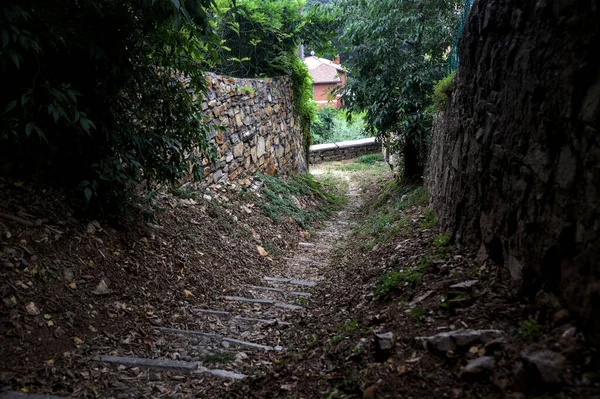 Ścieżka Schodząca Gaju Otoczonym Murami Kamiennymi — Zdjęcie stockowe