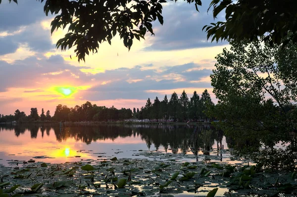 See Bei Sonnenuntergang Mit Lilienkissen Auf Dem Wasser — Stockfoto