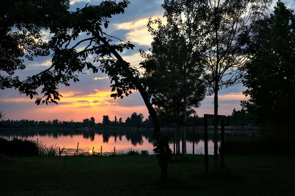 Träd Vid Sjön Vid Solnedgången — Stockfoto