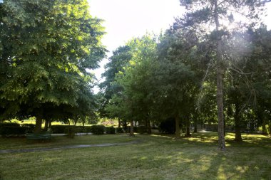 Bahçedeki ağaçlarla çevrili gölgelerde açık alan