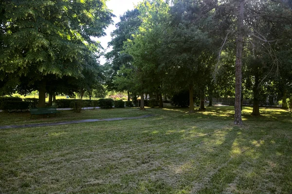 Open space in the shade with benches bordered by trees in a garden