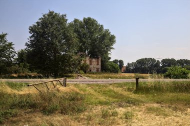 Abandoned country house with trees growing around it in the middle of a mowed wheat field on a sunny day in summer