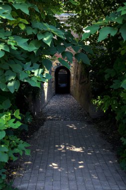 Bitkilerin arasından görünen bir duvarın içindeki geçit.