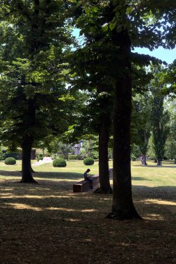 Parktaki kavak ağaçlarının yanındaki tuğla duvarda oturan adam.