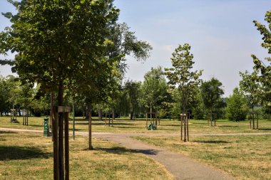 Güneşli bir günde genç ağaçlarla dolu bir parkta çakıl yolu.