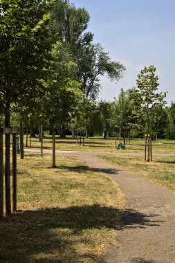 Güneşli bir günde genç ağaçlarla dolu bir parkta çakıl yolu.