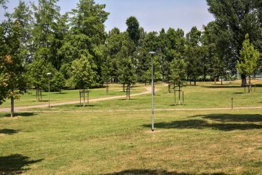 Güneşli bir günde genç ağaçlarla dolu bir parkta çakıl yolu.